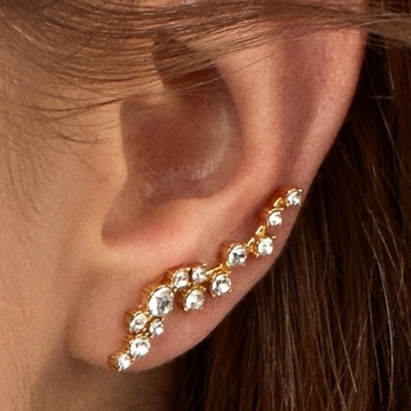 Baublebar Jewel Crawler Earrings - Picture 2 of 3